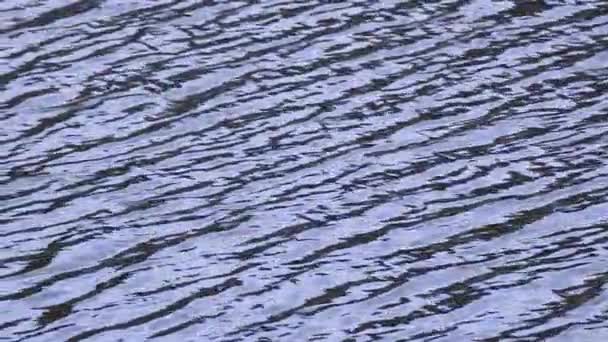 Ripples Water Sky Clouds Reflection Lake Water Surface Footage Slowmotion — Stock Video