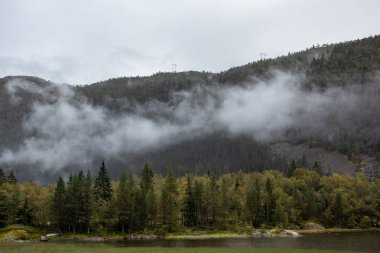 Norveç dağlarında göldeki bulutlar. Sonbahar seyahati vahşi doğa. Sisli İskandinavya Bulutlu çam ormanı