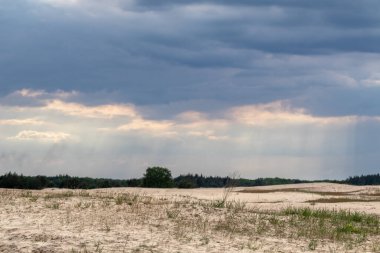 İlkbaharda çöl, ormanın yakınındaki kum tepeleri ve destansı karanlık gökyüzü. Ukrayna 'daki Kitsevka Çölü tepecikli kumlar, Harkiv bölgesi manzarası
