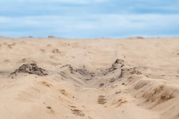 Dunes Sable Voiture Roue Protecteur Imprimer Gros Plan Sur Nature — Photo