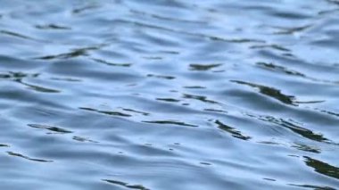 Güneşli bir günde mavi su yavaş çekimde yakın çekim. Parlak berrak su dalgaları. Doğanın güzelliği Yazın koyu renkli su arka planı