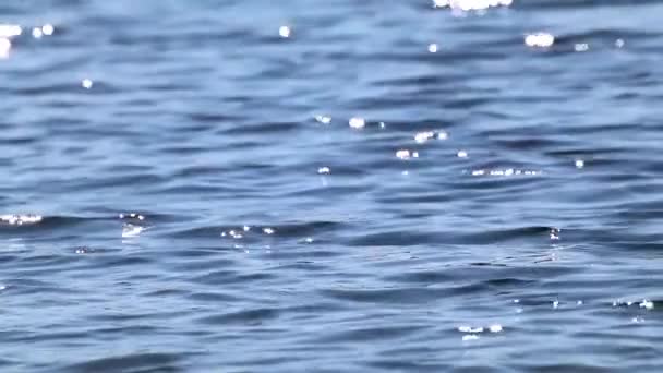 Blaue Wasser Zeitlupe Nahaufnahmen Sonnigen Tagen Der See Glitzert Mit — Stockvideo