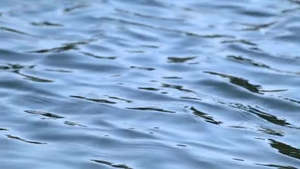 Images de gros plan au ralenti en eau bleue par temps ensoleillé. Lac scintillant vagues d'eau claire. Beauté de la nature été fond d'eau de couleur profonde