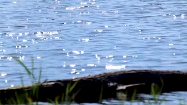 Images Gros Plan Eau Bleue Jour Ensoleillé Lac Scintillant Vagues — Video