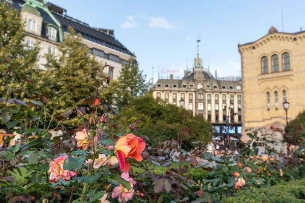 Oslo Norvégia Szeptember 2019 Eidsvolls Plass Város Központja Tér Rózsa — Stock Fotó