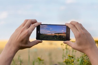 Akıllı telefonu yatay olarak tutmak ve yaz buğday ve çiçek tarlalarının fotoğraflarını çekmek yaz güneşli arka planda bulanık doğa manzarası