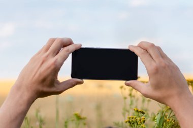 İki eliyle siyah ekranlı akıllı telefonu mavi gökyüzü doğal manzara modelleme şablonuyla güneşli çiçek tarlasında tutuyor.