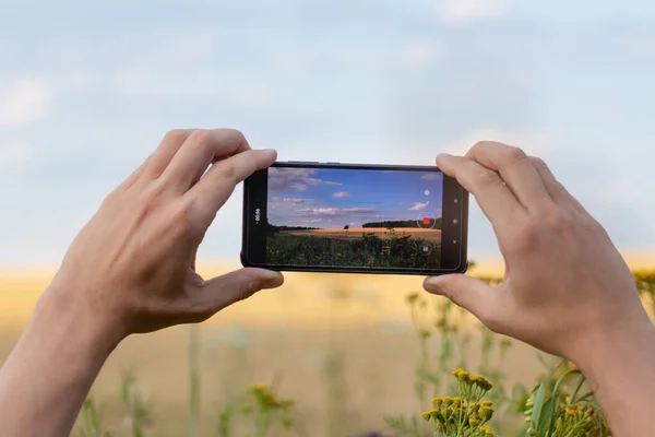 Akıllı telefonu yatay olarak tutmak ve yaz buğday ve çiçek tarlalarının fotoğraflarını çekmek yaz güneşli arka planda bulanık doğa manzarası