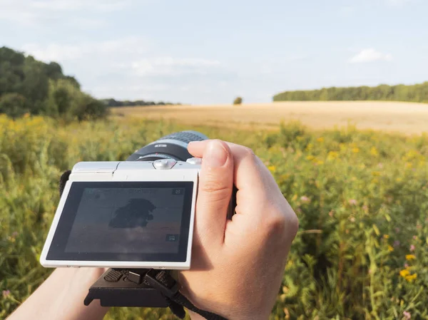 Holding camera with telephoto lens with two hands horizontally and taking photos of summer wheat and flowers field sunny nature landscape in viewfinder