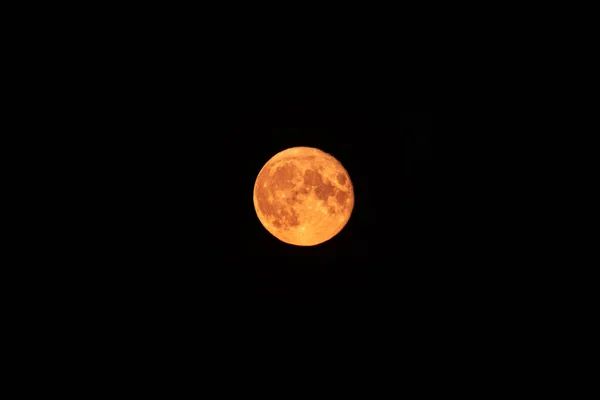 Leuchtend Rotorangefarbener Vollmond Steigt Dunklen Nachthimmel Auf Mystischer Nächtlicher Schwarzer — Stockfoto