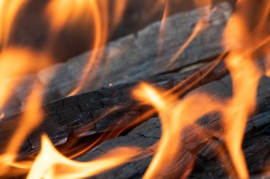 Parlak kırmızı turuncu alevlerle yakın plan kömür yakma. Açık hava sıcak şöminesi arka planı bulanık yanıyor.
