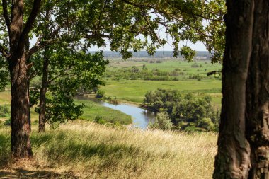 Tepeden uzaktaki nehir vadisinde yeşil ağaçlar ve kuru otlar arasında yaz manzarası. Ukrayna 'daki Siverskyi Donets Nehri' ndeki Zmiyevsky uçurumları