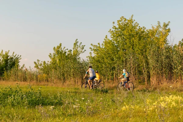 家庭自行车 父亲和两个孩子在大自然中骑自行车 夏日阳光下的休闲活动 — 图库照片