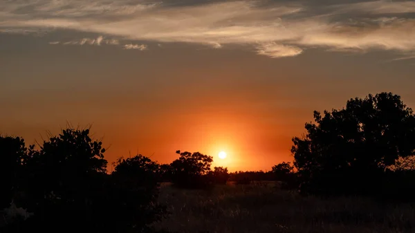 Puesta Sol Naturaleza Silvestre Árboles Oscuros Siluetas Vivo Cielo Nublado —  Fotos de Stock