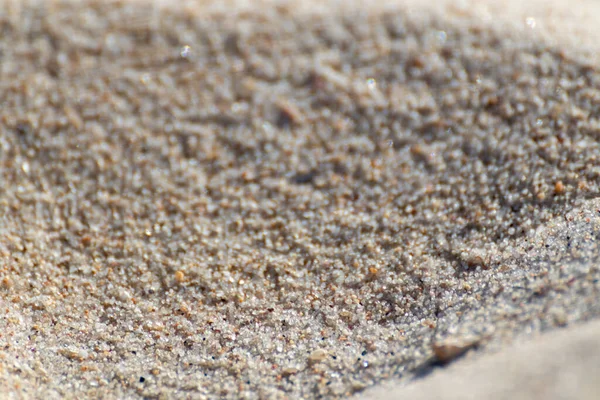 Sable Texture Grains Sur Mer Plage Rivage Macro Avec Fond — Photo