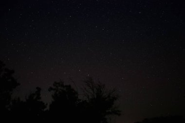 Parlayan yıldızlar ve siyah ağaçların siluetleriyle yıldızlı karanlık gökyüzü. Yaz gecesi gerçek bir astro fotoğrafı..