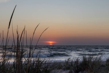 Gün batımı ufukta gizlenmiş fırtınalı dalgalar, deniz kıyıları ve önlerinde yabani otlar.