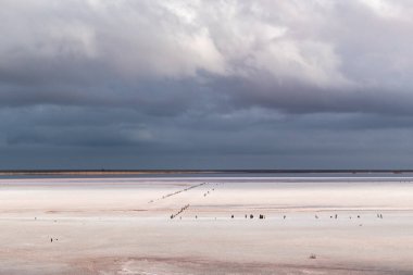 Tuzlu pembe göl yüzeyi, gökyüzünde mor, yüksek katmanlı destansı bulutların altında. Ukrayna ve Henichesk 'teki spa sağlık hizmetleri doğal tatil beldesinde dramatik doğal ufuk çizgisi
