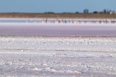 Tuzlu pembe göl yüzeyi mavi güneşli gökyüzünün altında. Ukrayna ve Henichesk 'te spa sağlık hizmetleri doğal tatil prosedürleri