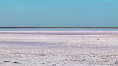 Mavi güneşli gökyüzünün altında tuzlu pembe göl yüzeyi. Ukrayna 'da spa sağlık hizmetleri doğal prosedürleri, Henichesk