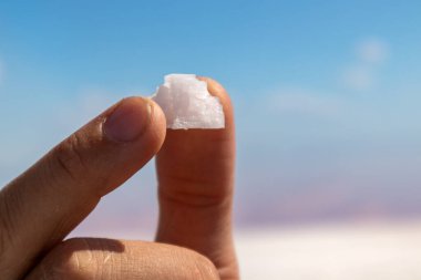 El parmakları beyaz tuz tanecikli kristal tutuyor. Bulanık pembe tuzlu göl ve mavi gökyüzü arkaplanı var. Syvash, Ukrayna 'da kaplıca merkezi güneşli yakın plan