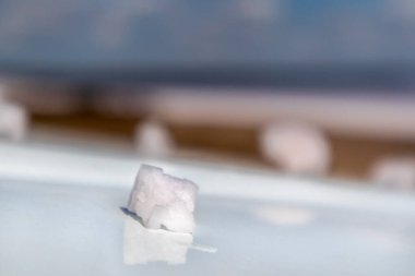 Beyaz yansıtıcı yüzeyde pembemsi beyaz tuz tanecikli kristal oluşum ve bulanık bir arka plan. Syvash Denizi, Ukrayna 'da kaplıca merkezi güneşli.