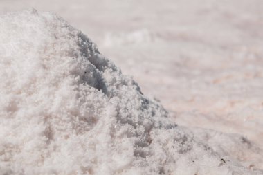 Tuz gölünün kıyısında pembe tuz demeti parlıyor. Syvash ya da Sivash, Çürük Deniz ya da Ukrayna 'da kaplıca eğlencesi