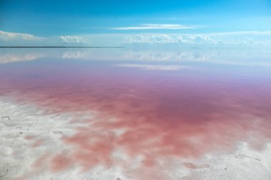 Pembe tuz gölü kıyısı, beyaz tuz, pembe su yüzeyi ve parlak mavi gökyüzünün ayna yansıması. Syvash veya Sivash, Çürük Deniz veya Çürük Deniz, Ukrayna