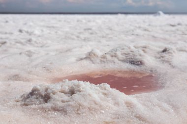 Pembe su birikintisi tuzlu göl kıyısında beyaz tuz ve mavi gökyüzüne yakın çekim yapar. Syvash ya da Sivash deniz kaplıcaları yaz tatilleri güneşli zamanlar, Çürük Deniz ya da Ukrayna