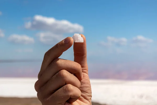 Hand fingers holding white salt flake crystal with blurred natural pink salty lake and blue sky background. Spa resort sunny close-up on Syvash, Ukraine