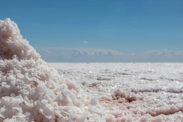 Бело Розовая Соль Крупным Планом Сияет Морской Солью Берегу Соленого — стоковое фото