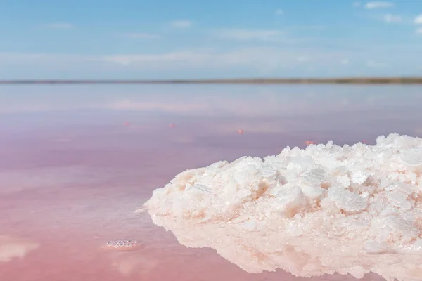 Zout Roze Kristallen Bos Close Schijnt Meerkust Met Roze Water — Stockfoto