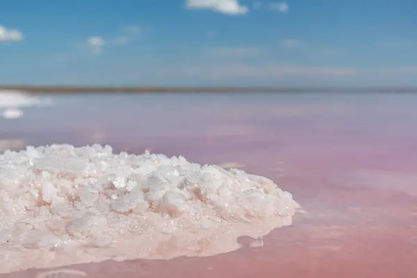 Zout Roze Kristallen Bos Close Schijnt Meerkust Met Roze Water — Stockfoto