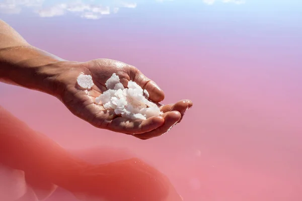 Hand Houden Bos Van Roze Witte Zoutvlokken Kristallen Boven Roze — Stockfoto