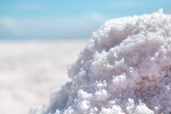 Rosafarbenes Salz Strukturiertes Makro Das Der Küste Des Salzsees Mit — Stockfoto