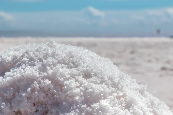 Pink Salt Bunch Close Shining Coast Salt Lake Blurred Blue — Stock Photo, Image