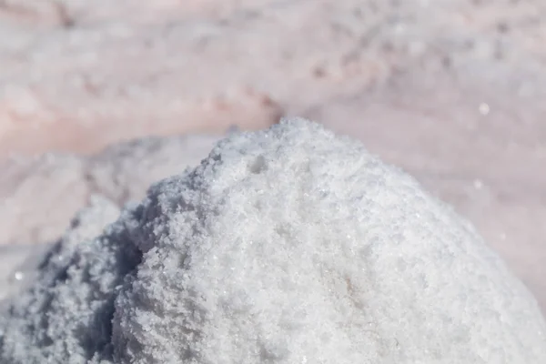 Pinkfarbener Salzstrauß Großaufnahme Der Ufer Des Salzsees Mit Verschwommenem Hintergrund — Stockfoto