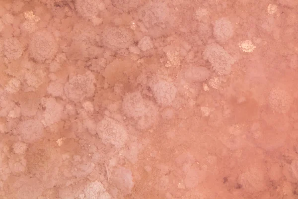 ピンク色の塩フレークがピンクの水面下でクローズアップされます SyvashまたはSivashの健康的なスパリゾート プートリッド海またはRotten海 ウクライナ — ストック写真