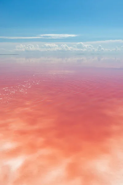 Costa Lago Sal Vívida Rosa Com Sal Branco Superfície Água — Fotografia de Stock