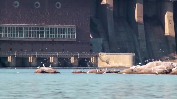 Dneproges Centrale Hydroélectrique Par Temps Ensoleillé Vue Rapprochée Avec Beaucoup — Video