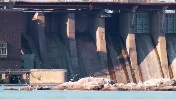 Hidroelektrik Santralini Soldan Sağa Doğru Mavi Bir Sürü Martı Kuşuyla — Stok video