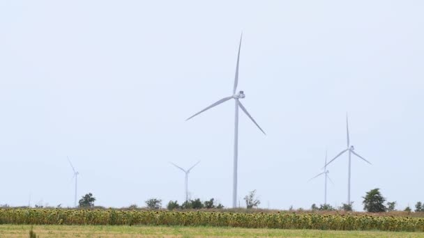 Vindkraftgeneratorer Gård Roterande Sommar Gult Fält Grön Ekoenergi För Framtiden — Stockvideo