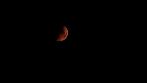 Setengah Fase Bulan Merah Langit Hitam Cerah Turun Dari Kiri — Stok Video