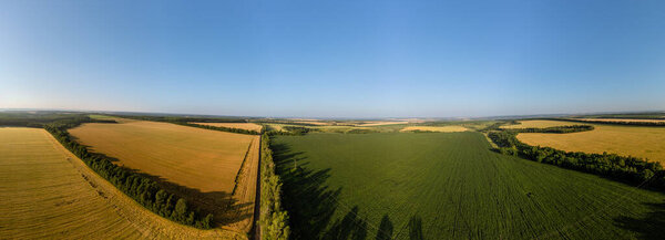 Воздушные солнечные сельскохозяйственные поля с панорамой голубого неба, золотистые и зеленые летние культуры