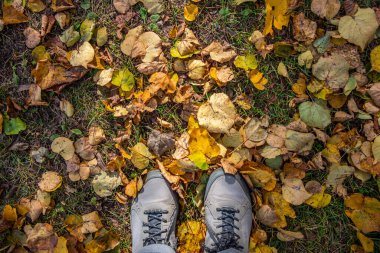Güz yeşilliklerinde ayakkabılar içinde ayaklar, üst manzara.
