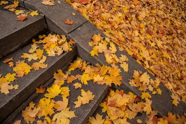 Schody Rozrzucone Jesiennymi Liśćmi — Zdjęcie stockowe