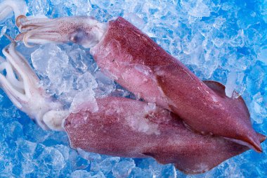 kalamar buz üstünde