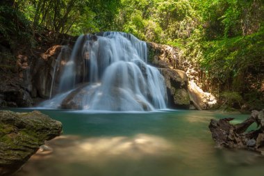 Ormanda güzel bir şelale  