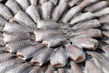 Yakın çekim görünümü taze balık Market