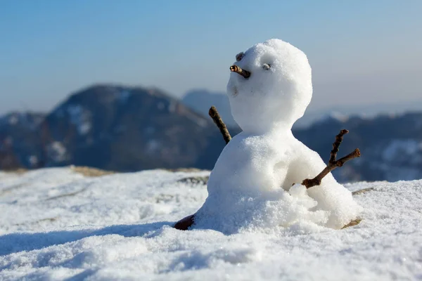 Χιονάνθρωπος Ένα Χειμερινό Τοπίο — Φωτογραφία Αρχείου